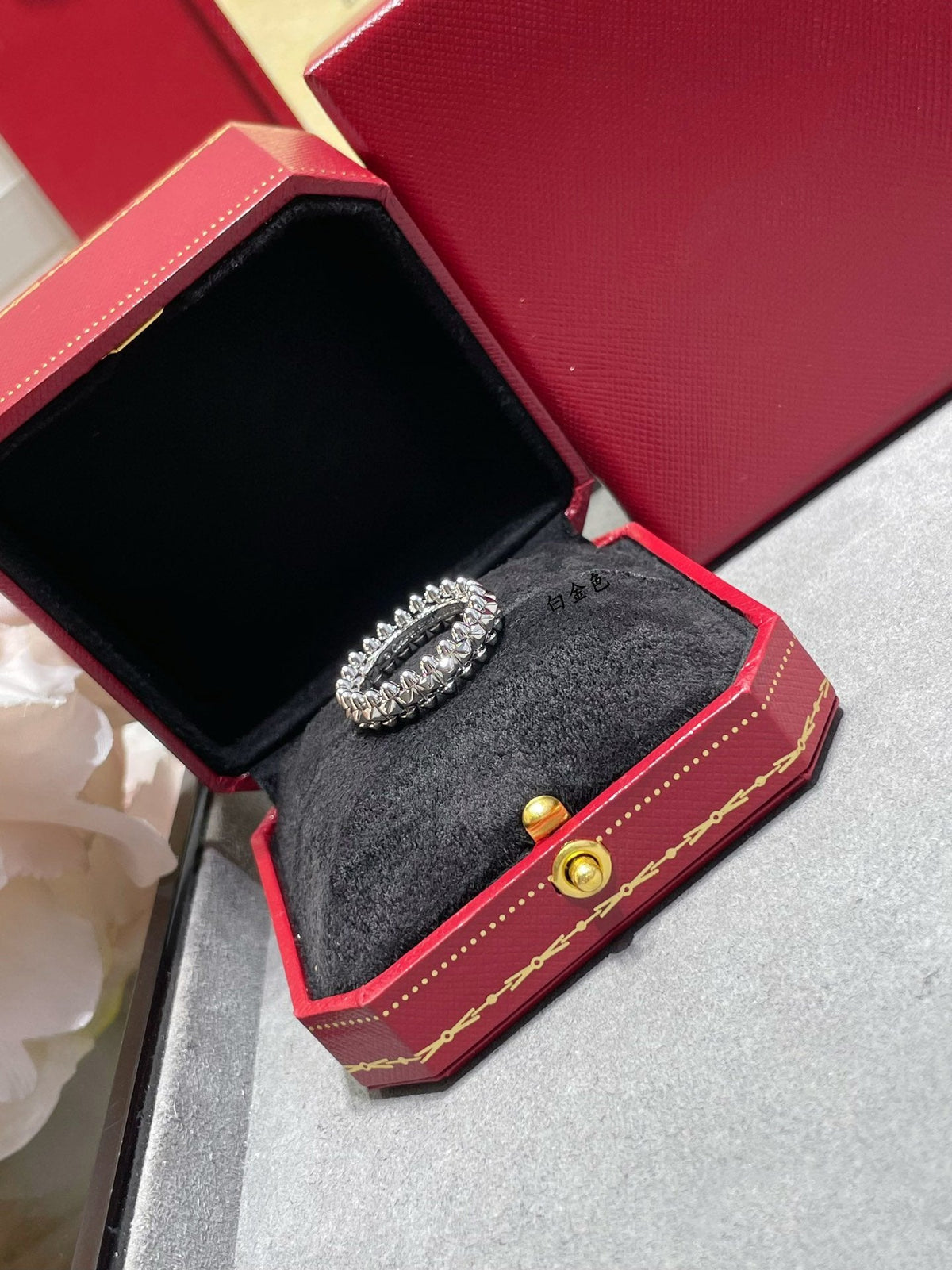 [⭐Seralia]CLASH 5.5MM RING