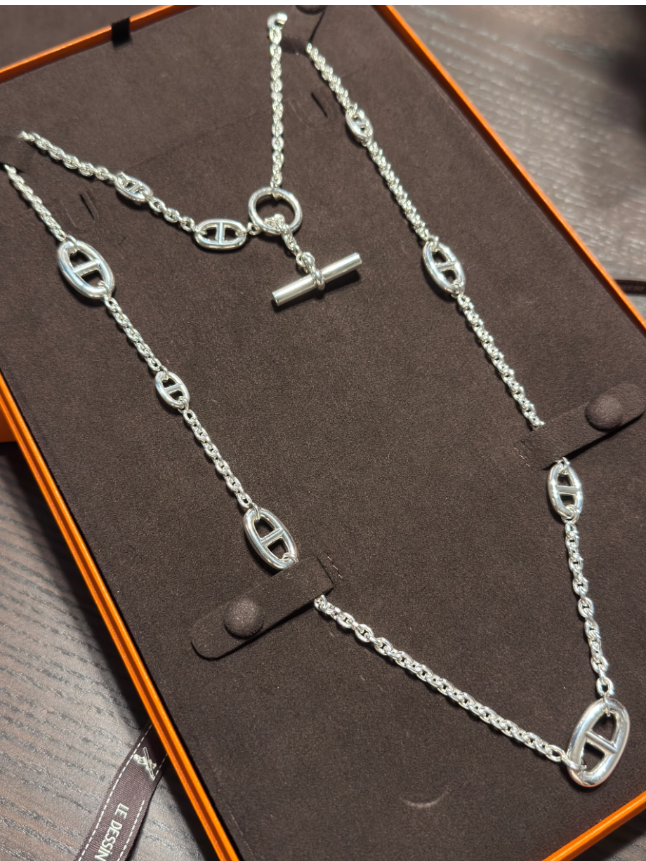 [⭐Seralia]Classic Silver Sweater Chain