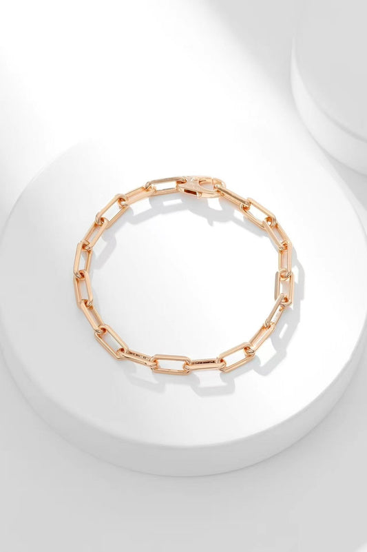 [⭐Seralia jewelrys]CT CHAIN BRACELET